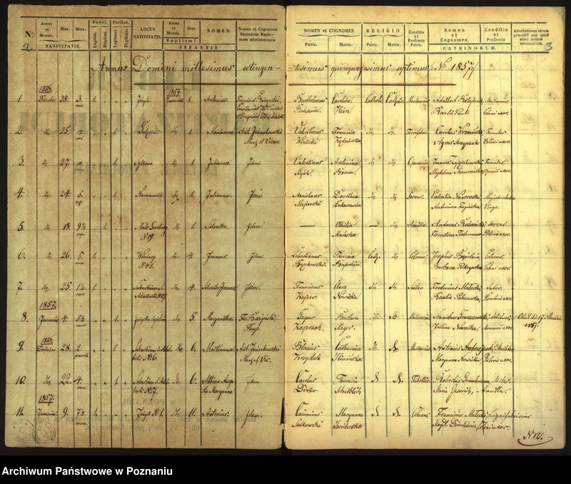 Obraz 4 z jednostki "Księga urodzin"