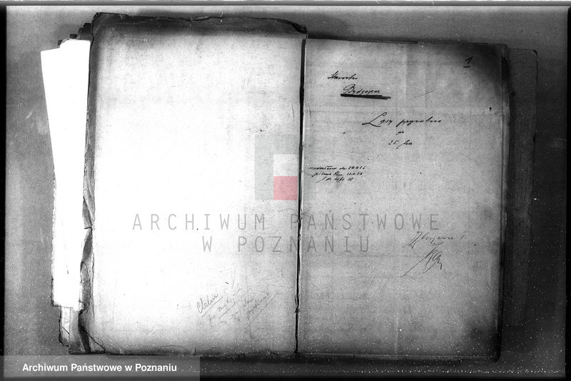 Obraz 5 z jednostki "/Lasy prywatne/ Spis według powiatów"