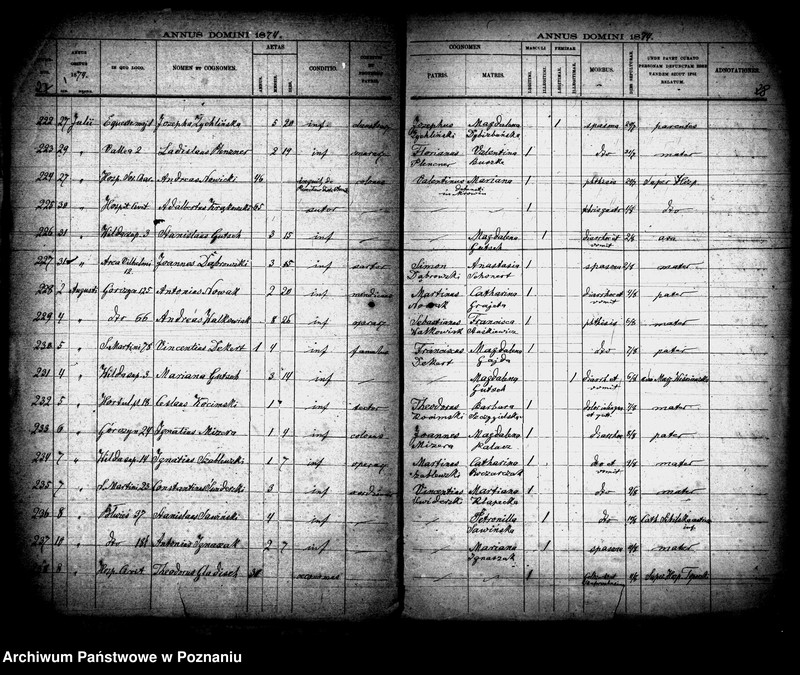 Obraz 14 z jednostki "Księga zgonów"