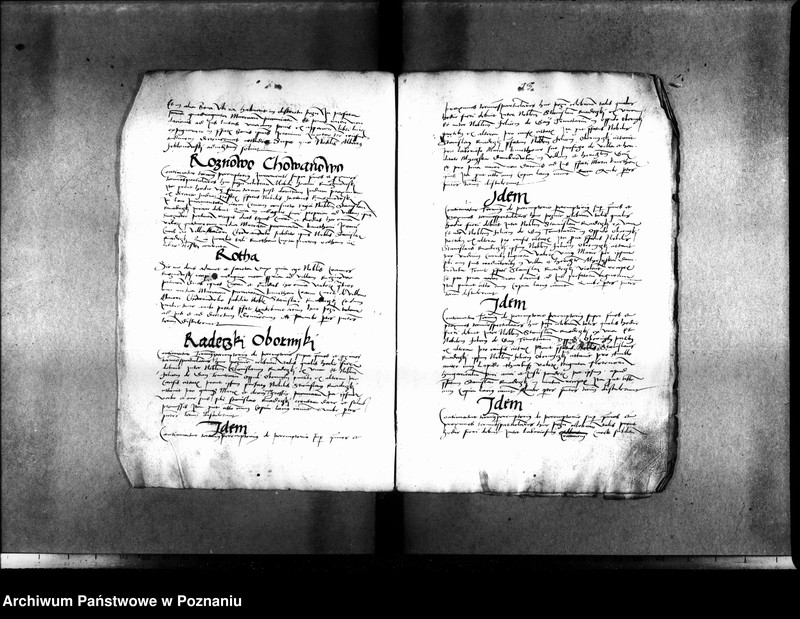 Obraz 19 z jednostki "Inscriptiones, relationes, decreta [inducta]"