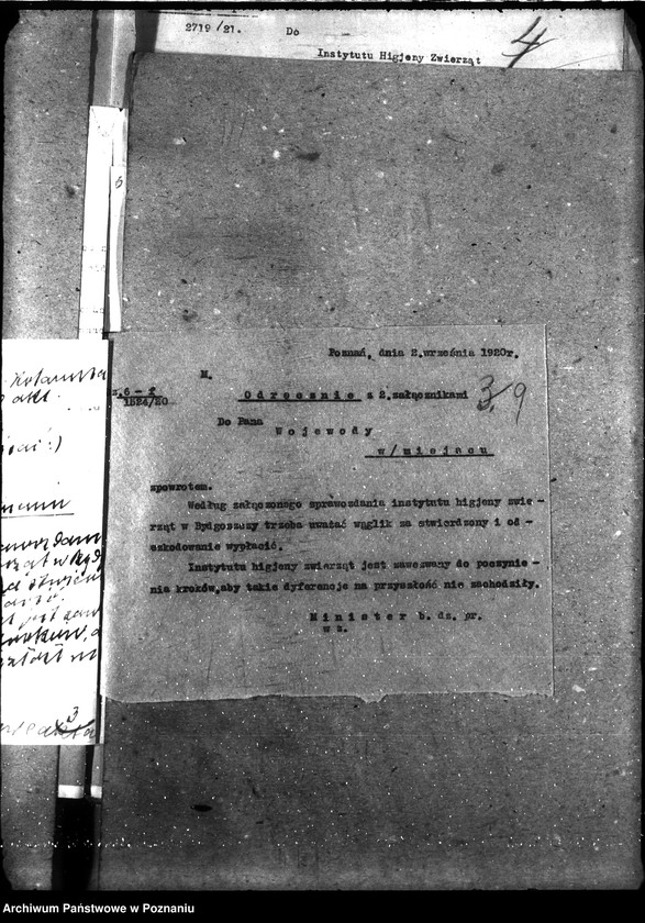 Obraz 13 z jednostki "Sprawy ogólne wąglik, szelestnica i zaraza dziczyzny"