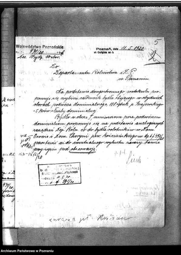 Obraz 9 z jednostki "Zaraza płucna - Jarocin"