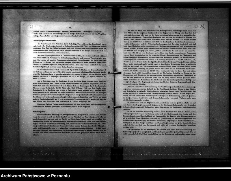 Obraz 18 z jednostki "Jahresveterinärberichte"