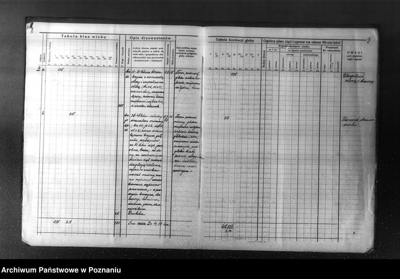 Obraz 9 z jednostki "Plan urządzenia gospodarstwa leśnego dla lasu majętności Kuleczyn w powiat nowotomyski 1933-1943"