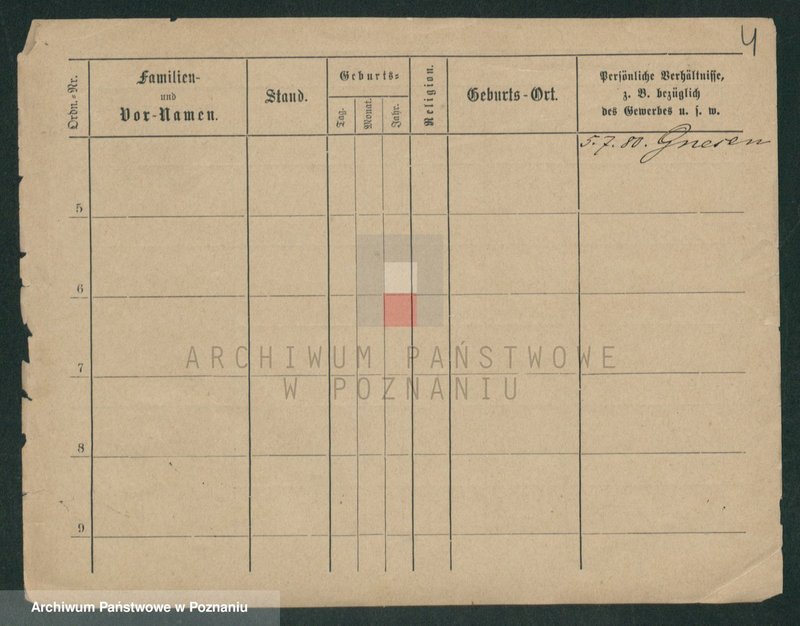 Obraz 10 z jednostki "Strauchman - Striwy (Strü...)"