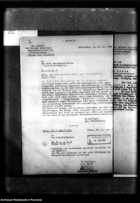 Obraz 6 z jednostki "[Akta personalne wychowanka Leonarda Lotto, ur. 8 XII 1941]."