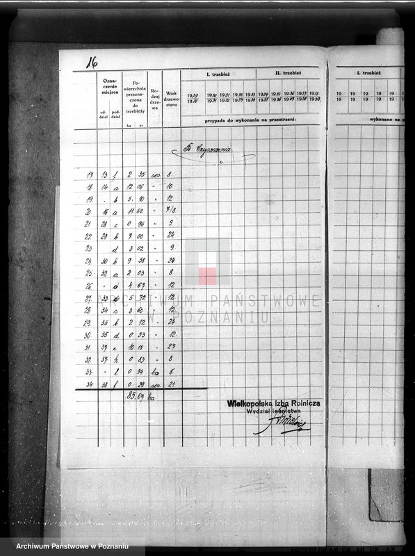 Obraz 20 z jednostki "Plan urządzenia gospodarstwa leśnego dla lasu majętności Nowy Dwór w powiecie nowotomyskim 1930-1940"