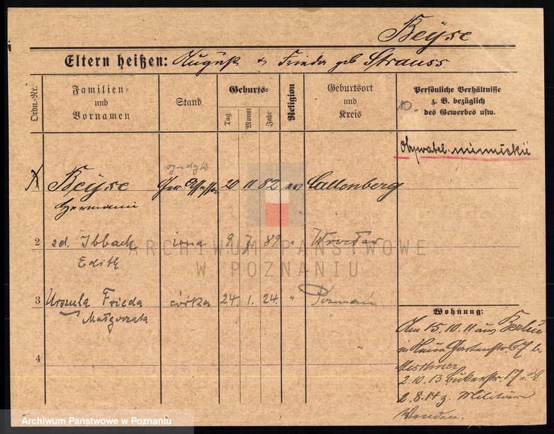 Obraz 12 z jednostki "Bajerczyk - Bajzert"