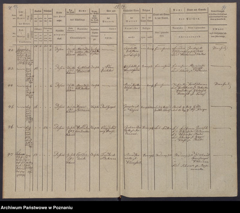Obraz 10 z jednostki "[Akta urodzeń i chrztów, zgonów i pogrzebów, zapowiedzi i ślubów]"