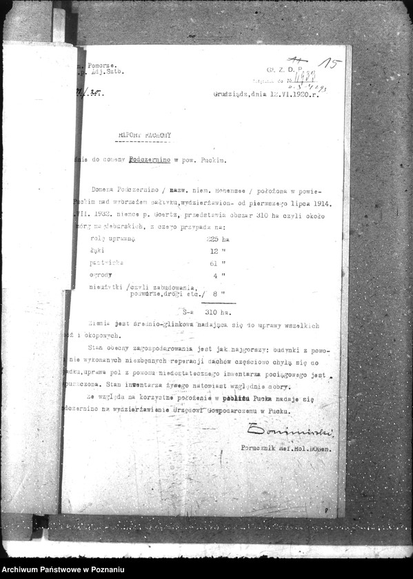 Obraz 19 z jednostki "Domeny"