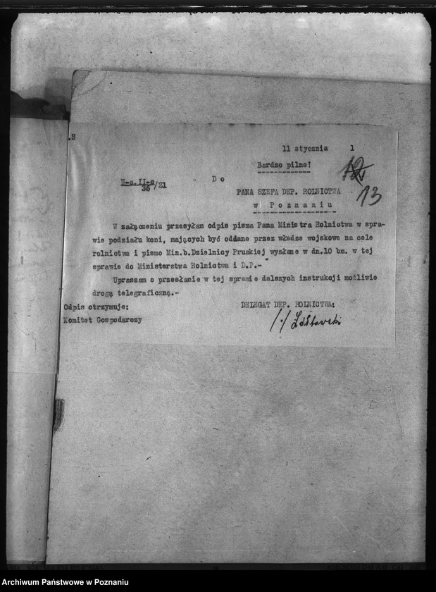 Obraz 17 z jednostki "Rekwizycje koni"