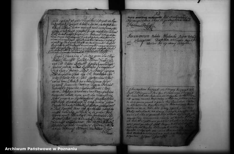 Obraz 17 z jednostki "Inscriptiones, resignationes [protocollon]"