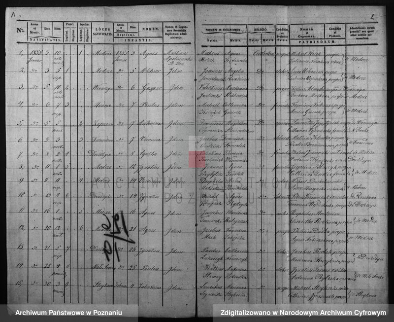 Obraz 4 z jednostki "Duplicatus baptisatorum, copulatorum, mortuorum"