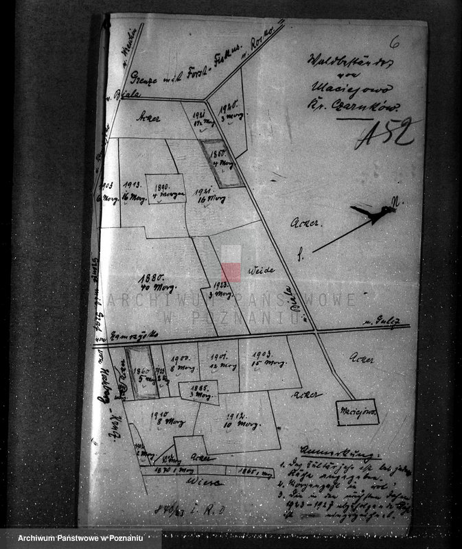 Obraz 10 z jednostki "/Nadzór nad lasami majętności Maciejewo w powiecie czarnkowskim/"