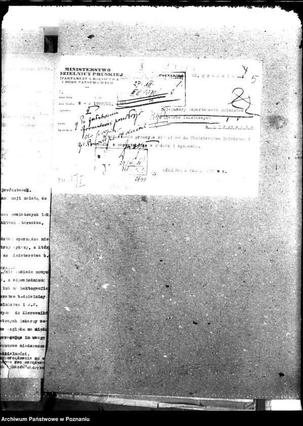 Obraz 9 z jednostki "Weterynaria"