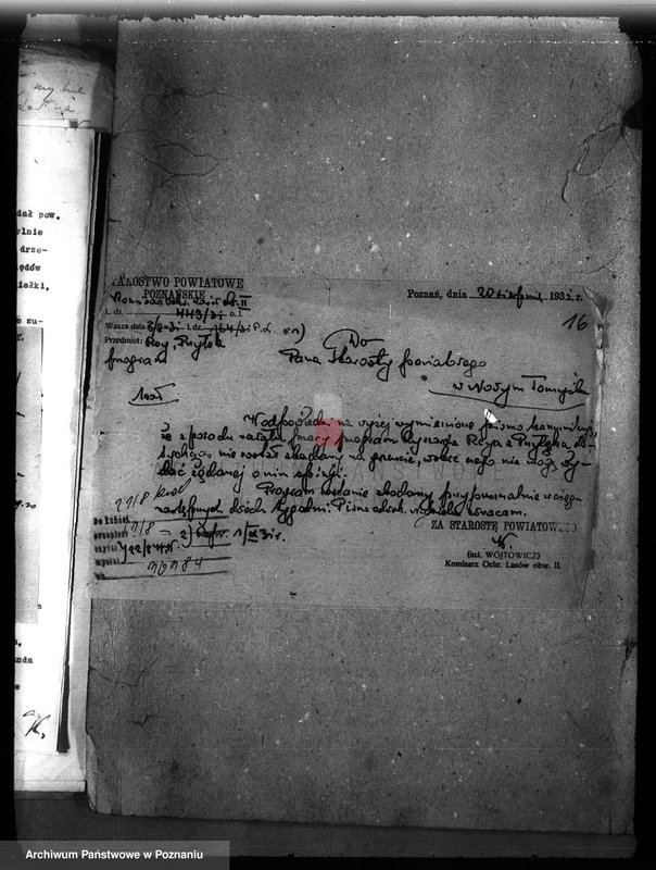 Obraz 20 z jednostki "/Nadzór nad gospodarką leśną/ protokoły badania lasów, programy gospodarcze powiat nowotomyski"