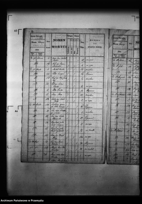 Obraz 15 z jednostki "[Kopie ksiąg metrykalnych parafii Zawadów (dekanat Niemirów)]"