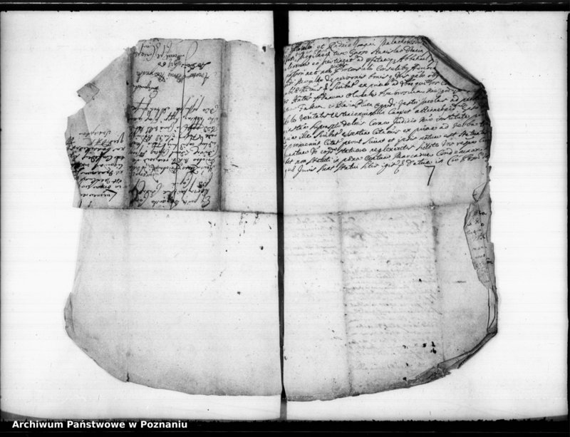 Obraz 12 z jednostki "Inscriptiones, (resignationes) [protocollon]"