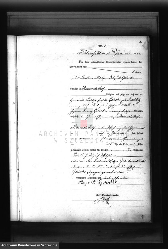 Obraz 4 z jednostki "Geburts-Register (Haupt-Register)"