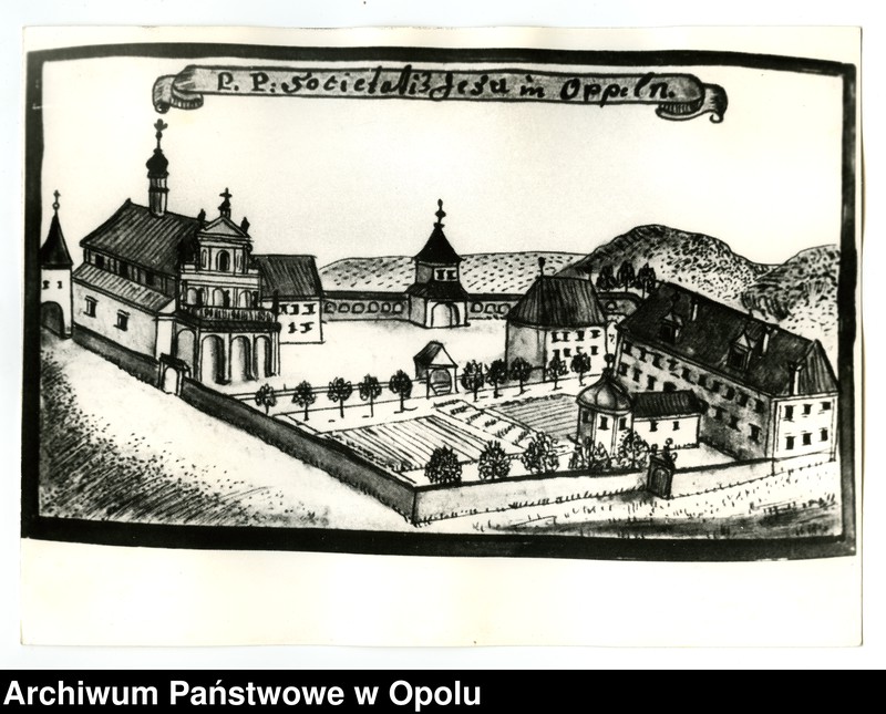 Obraz 10 z jednostki "[Fotografie rycin z publikacji Friedricha Bernharda Wernhera (Wernera)]"