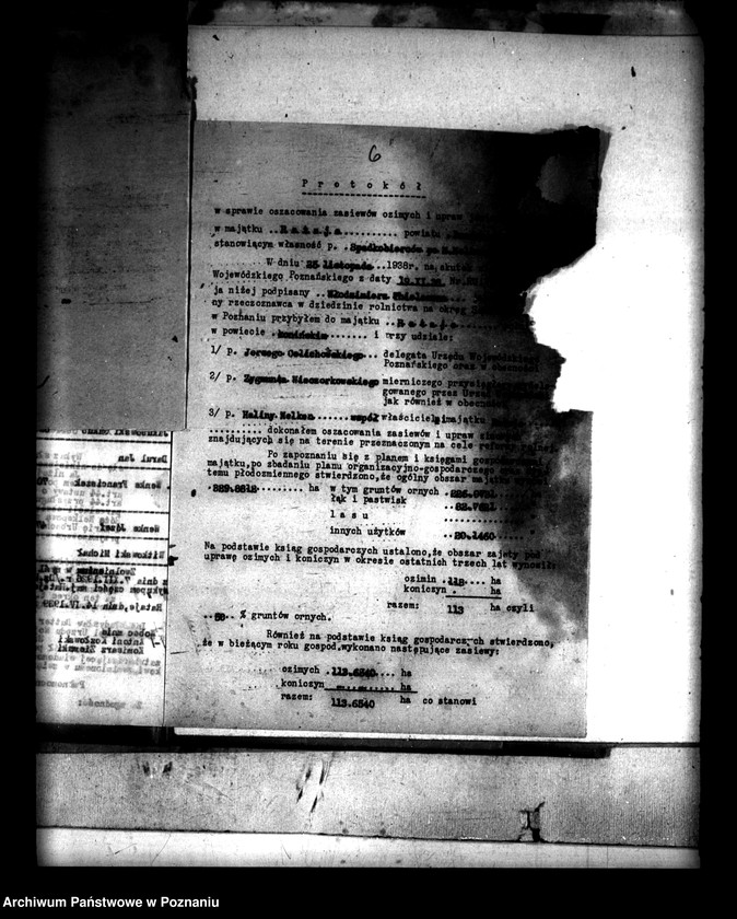 Obraz 10 z jednostki "Administracja przejściowa majątku Rataje powiatu konińskiego"