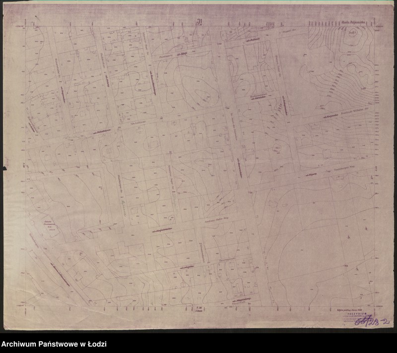 Obraz 2 z jednostki "Plan miasta Rudy Pabianickiej Sekcja 31"