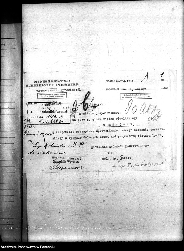 Obraz 5 z jednostki "Bydło kontyngent"