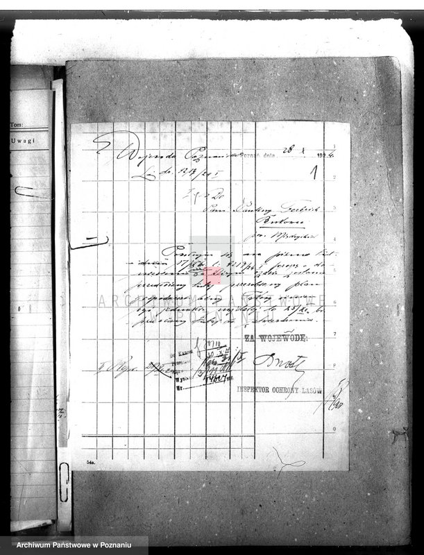 Obraz 5 z jednostki "Nadzór nad gospodarką w lasach majątku Bukowce powiat międzychodzki"