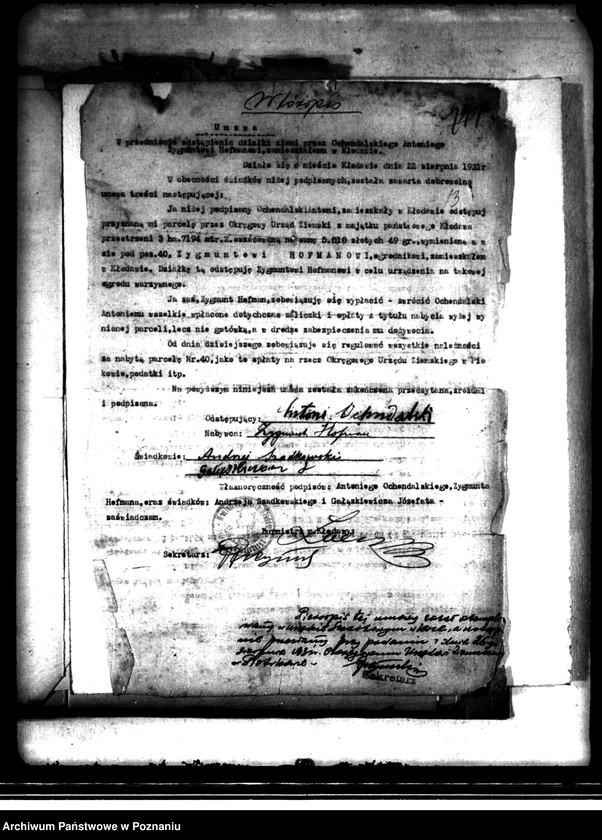 Obraz 17 z jednostki "Regulacja hipoteczna scalonych gruntów miasta Kłodawa powiatu kaliskiego"