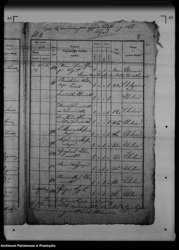 Obraz 13 z jednostki "[Kopie ksiąg metrykalnych parafii Rudki (dekanat Rudki)]"