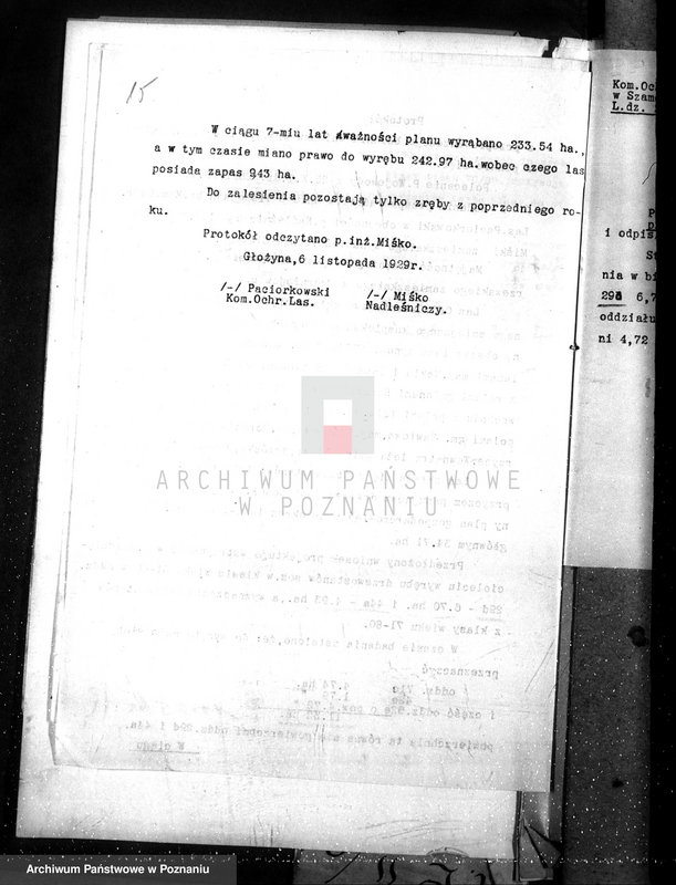 Obraz 19 z jednostki "Nadzór nad gospodarką w lasach majątku Czerniejewo powiecie gnieźnieńskim"