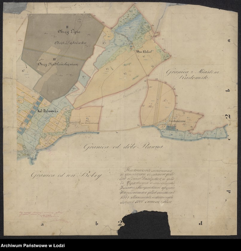 Obraz 15 z jednostki "Pieroworys Urządzenia Majoratu Radziechowice składający się z folwarków Radziechowice i Dąbrówka, Kolonii Radziechowice Brodowe i Dąbrowka, osady Czerkowizna, młyna Klekot oraz lasów przyległych ..."