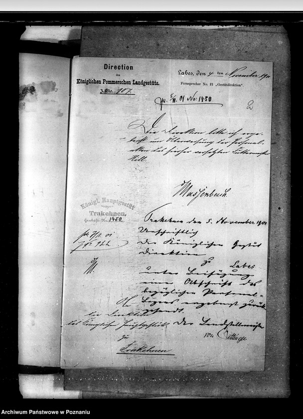 Obraz 6 z jednostki "Akta betr. fuer Anstellung und Versetzungen der Gestuet - Beamten."