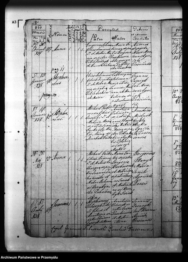 Obraz 12 z jednostki "[Kopie ksiąg metrykalnych parafii Prusiek z filią Sanoczek (dekanat Sanok)]"