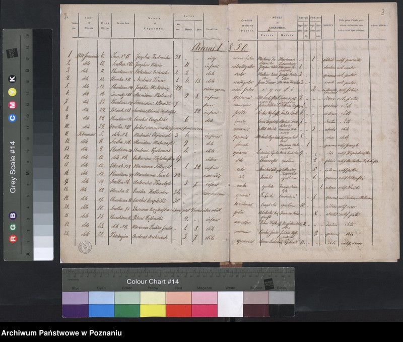 Obraz 4 z jednostki "Księga zgonów"