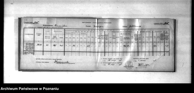 Obraz 4 z jednostki "Polnische Bodenbenutzugserhebung. Kreis Wollsbein (Wolsztyn)"