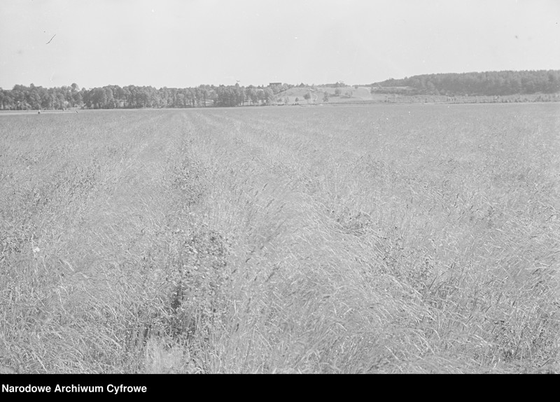 image.from.object.part1 image.from.object.part2