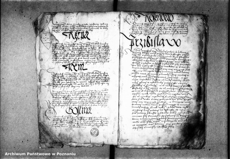 Obraz 7 z jednostki "Inscriptiones, relationes, decreta [inducta]"