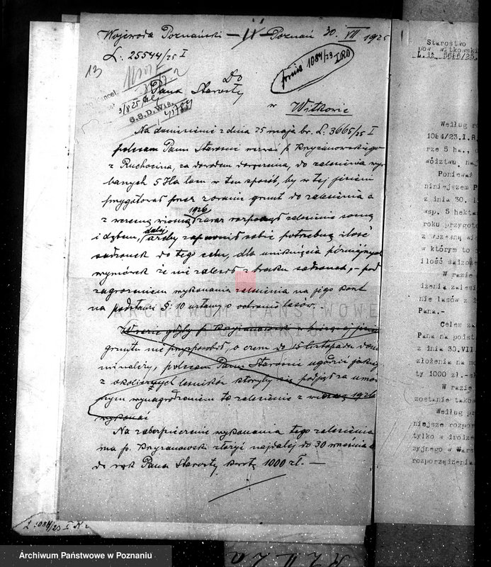 Obraz 17 z jednostki "Nadzór nad gospodarką w lasach majętności Ruchocin powiecie gnieźnieńskim"