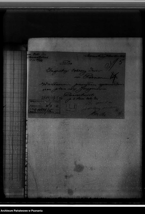 Obraz 9 z jednostki "Gospodarka w lasach majątku Jarogniewice powiat kościański"