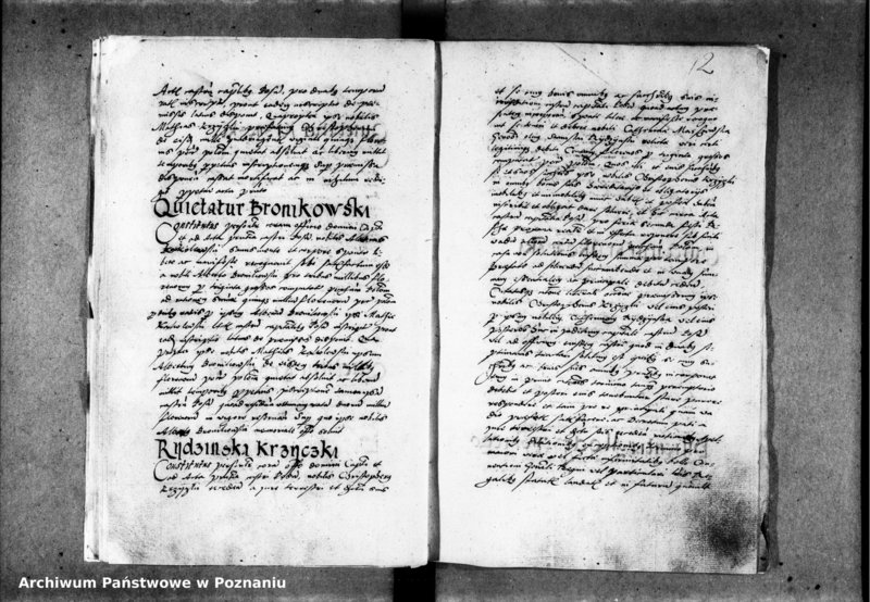 Obraz 16 z jednostki "Inscriptiones, relationes [inducta]"