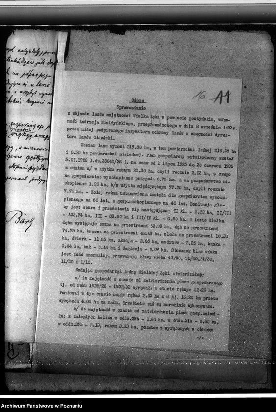 Obraz 20 z jednostki "Majętność leśna Łąka Wielka"