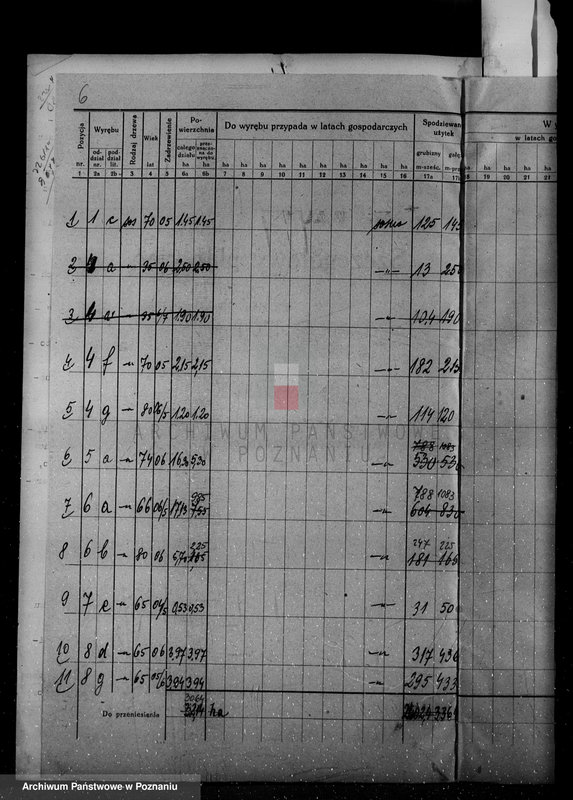 Obraz 10 z jednostki "/Nadzór nad gospodarką leśną w majętności Hutka w powiecie czarnkowskim"