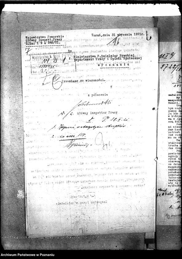 Obraz 11 z jednostki "Inspektor Pracy; Tczew"