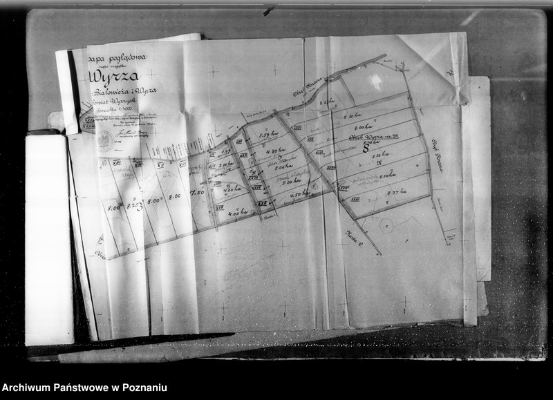 Obraz 13 z jednostki "Rejestr zasiewów majątku Wyrza"