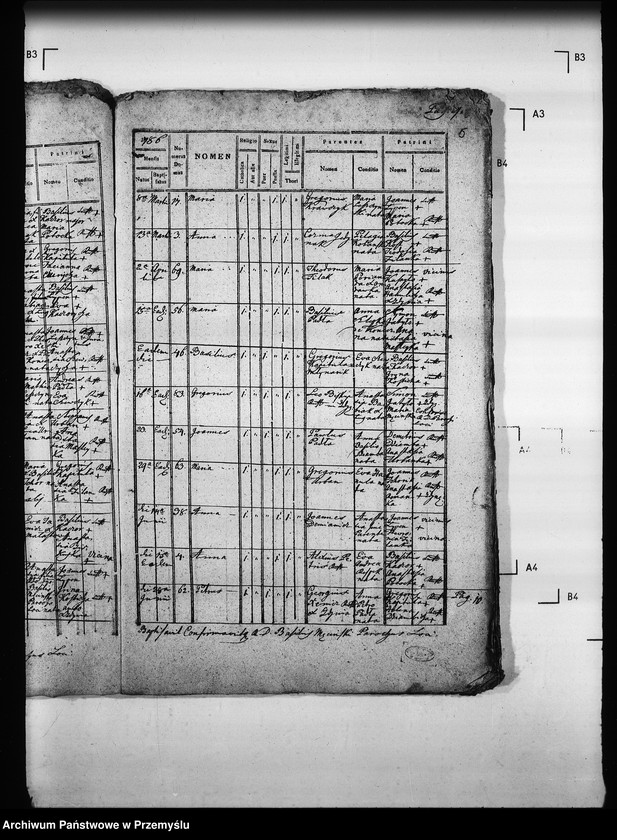 Obraz 9 z jednostki "[Kopie ksiąg metrykalnych parafii Zdynia z filiami Konieczna, Ług (dekanat Gorlice)]"