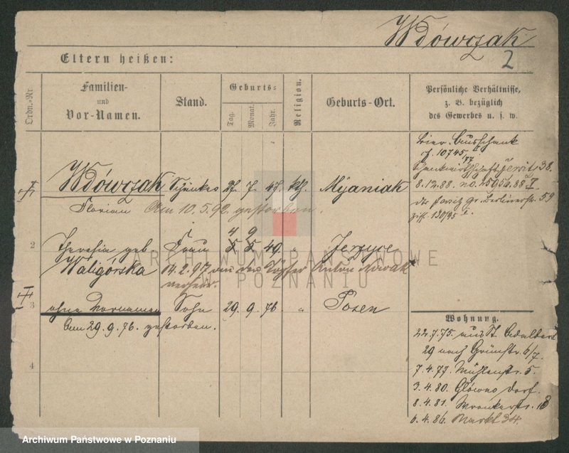 Obraz 7 z jednostki "Wdowczyk - Weber"