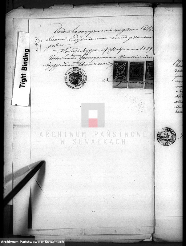 image.from.unit.number "Dokumenty o brakososčetavšichsja Evrejach v Serejskom božničnom Okruge za 1889 god"