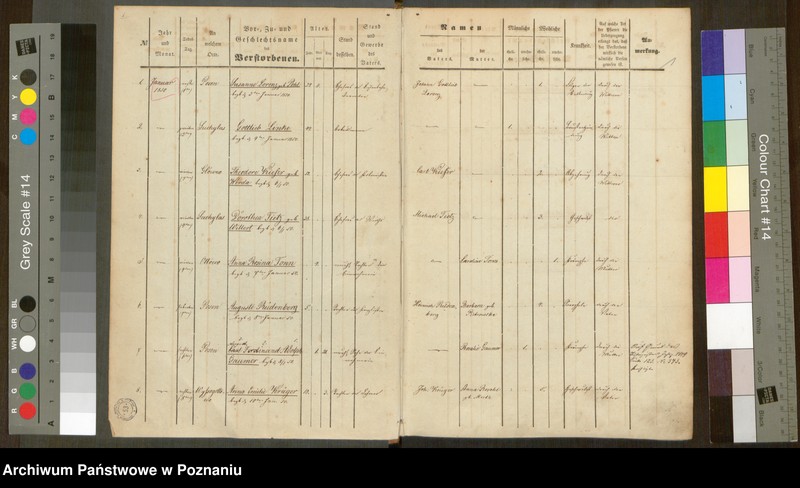 Obraz 2 z jednostki "Sterbenbuch"