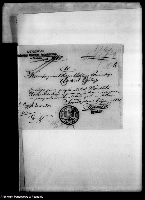 Obraz 4 z jednostki "Państwowe Gimnazjum Humanistyczne miasto Środa"